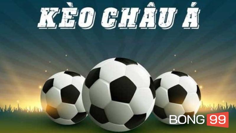 Kinh nghiệm nghiên cứu và theo dõi đội bóng